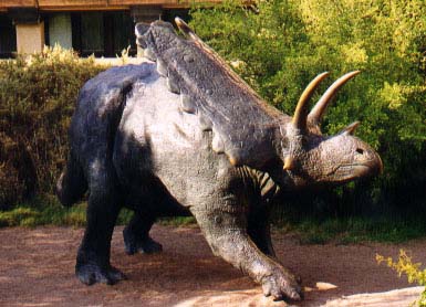 Pentaceratops wins